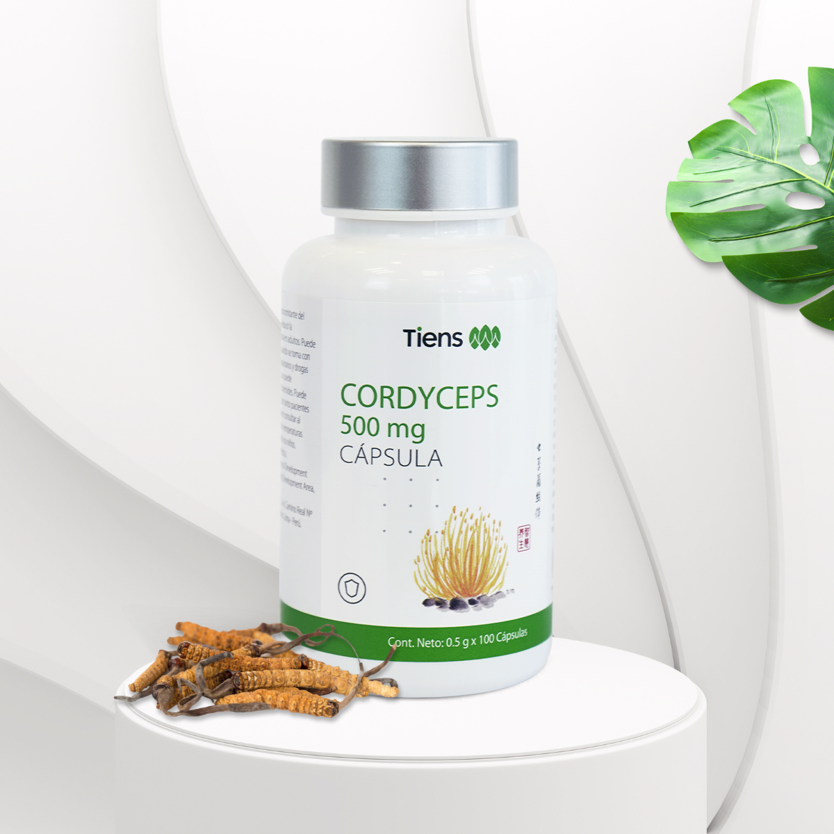 Próximo Lanzamiento